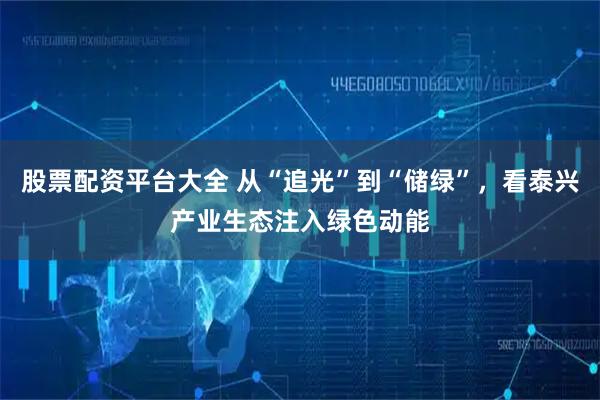 股票配资平台大全 从“追光”到“储绿”，看泰兴产业生态注入绿色动能
