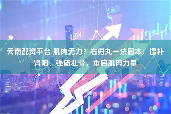 云南配资平台 肌肉无力？右归丸一法固本：温补肾阳、强筋壮骨，重启肌肉力量