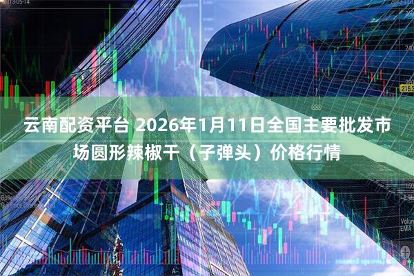 云南配资平台 2026年1月11日全国主要批发市场圆形辣椒干（子弹头）价格行情